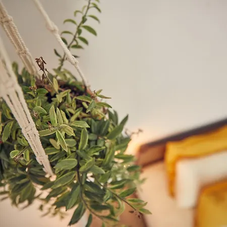 Coliving & Cowork In Ericeira By Barefoot Portugal Hytte *