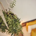 Coliving & Cowork In Ericeira By Barefoot Portugal Lodge *