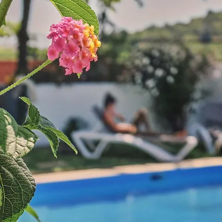 Chata Coliving & Cowork In Ericeira By Barefoot Portugal
