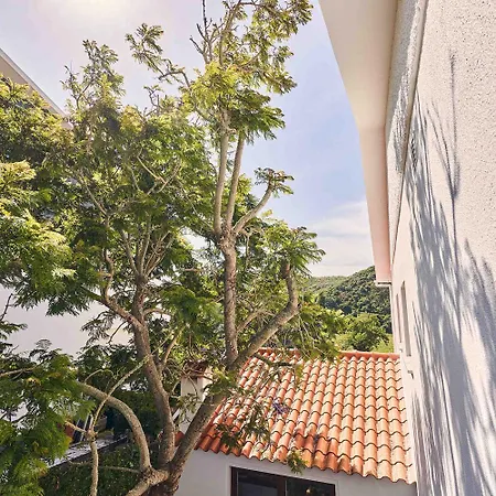 Coliving & Cowork In Ericeira By Barefoot Portugal Chata Santo Isidoro