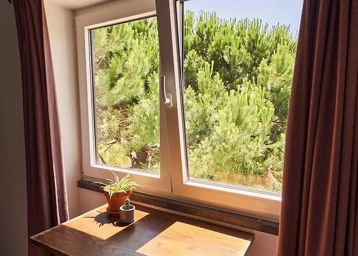 Coliving & Cowork In Ericeira By Barefoot Portugal Hytte